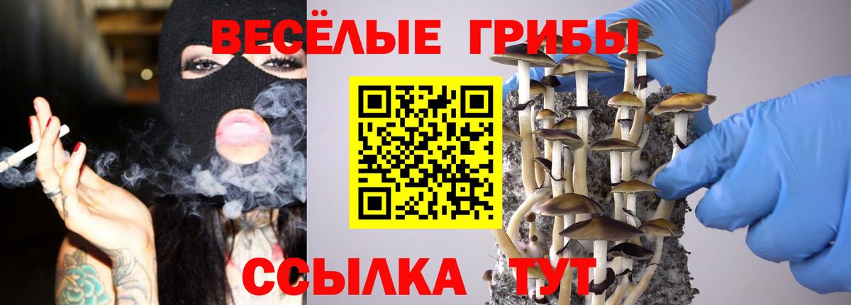 Псилоцибиновые грибы GOLDEN TEACHER  Вход с VPN  Егорьевск 